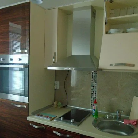 Apartment Bella Vista Cajetina (Raska)